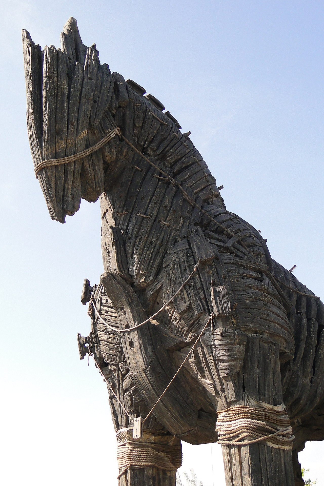 Giant wooden replica of a trojan horse. 
